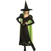Wicked Witch - Wizard of Oz (STD)